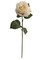 20" Cream Open Rose Stems (48-Pack) - Faux Flowers with Realistic Silk Foliage, Ideal for Bouquets, Weddings, Events & Home Decor - Elegant Year-Round Accent - Floral Home by Artificial Flowers